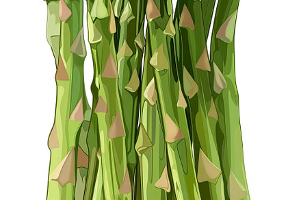 Fresh Bunch of Asparagus , Generate, a Photo by LOGOCREATIVE