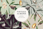Vintage Almond Patterns & Elements, a Pattern Graphic by Olga Begak Art & Design (Thumbnail 1 of 8)