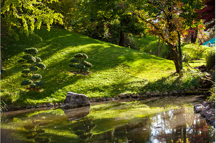 Beautiful calm scene in spring, a Nature Photo by oksix