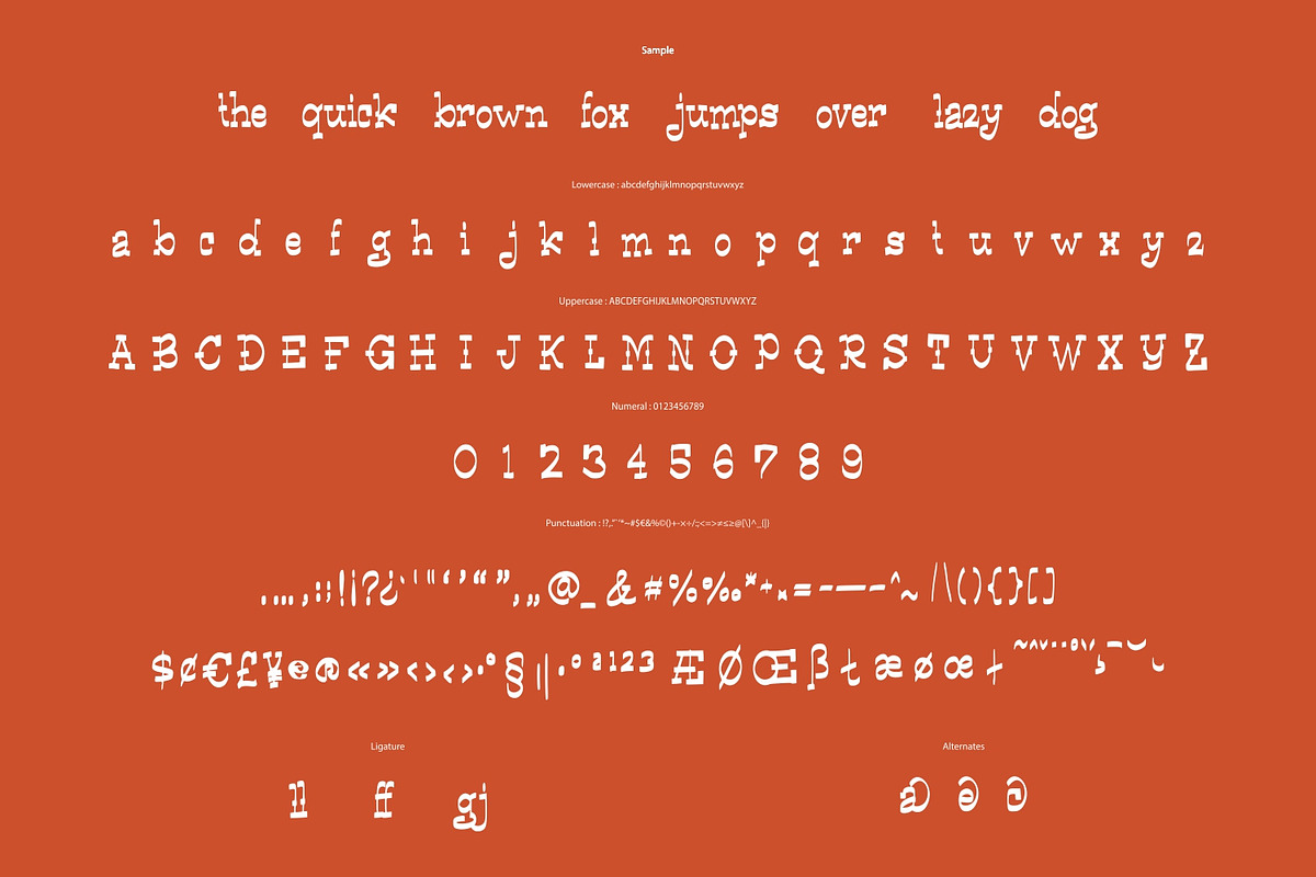 Rapi Horse - Modern Western, a Serif Font by VUNIRA (Photo 3 of 6)