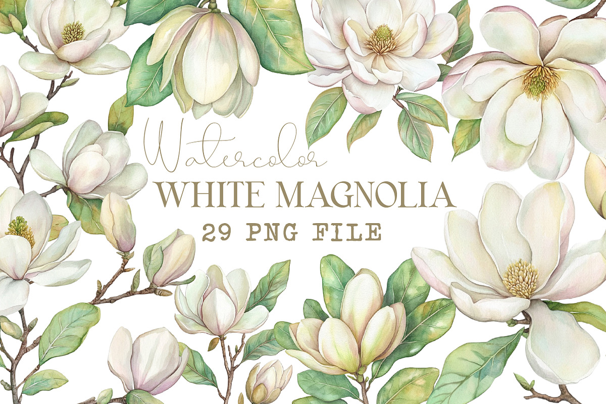 White Magnolia Watercolor Clipart, an Illustration by Libby Wishes (Photo 1 of 7)