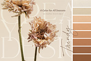 The Abstract Modern Bundle, a Texture Graphic by by creative paper (Thumbnail 83 of 86)