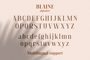 Blaine, a Serif Font by Larin Type Co. (Thumbnail 10 of 11)