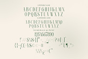Georgiano Modern Serif Font, a Serif Font by Storytype Studio (Thumbnail 13 of 15)