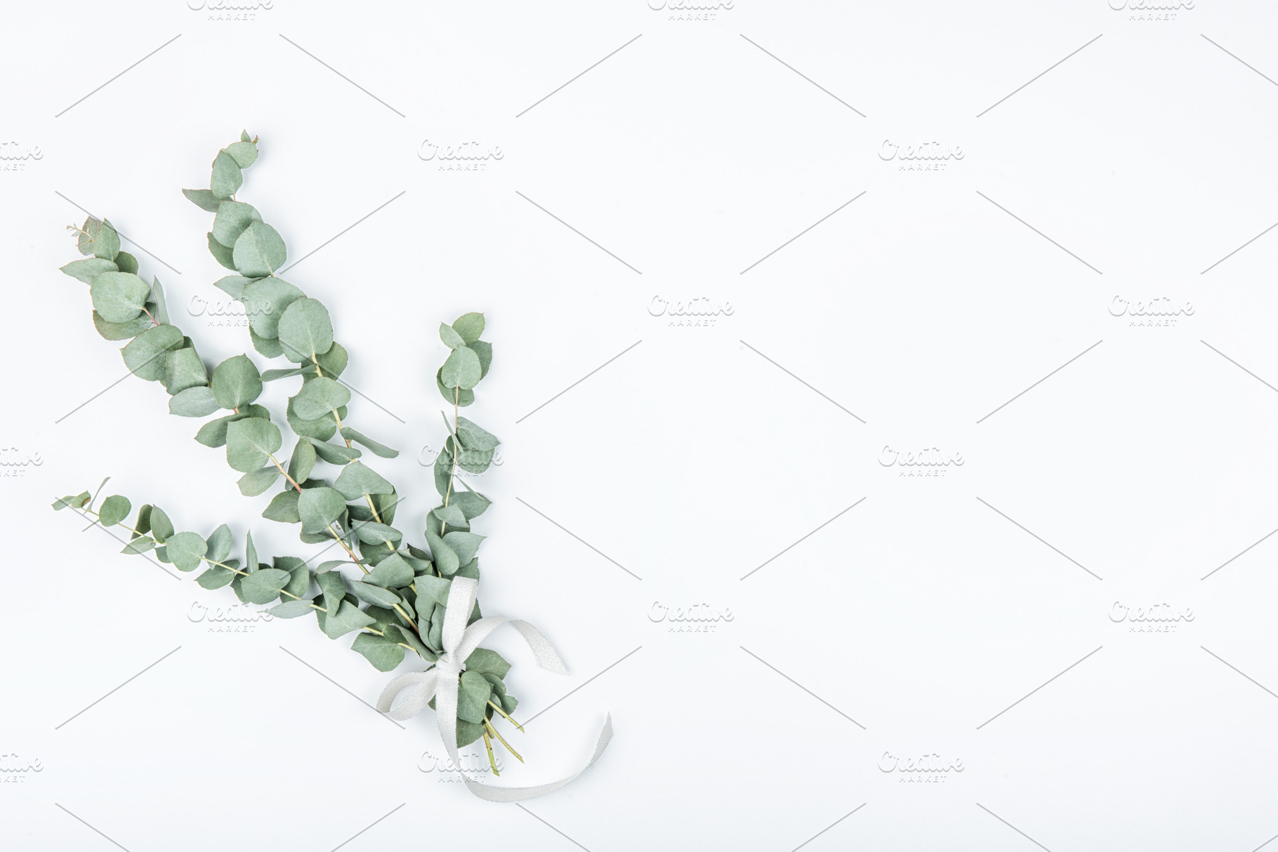 Bouquet of eucalyptus, a Nature Photo by Ekaterina Grivet