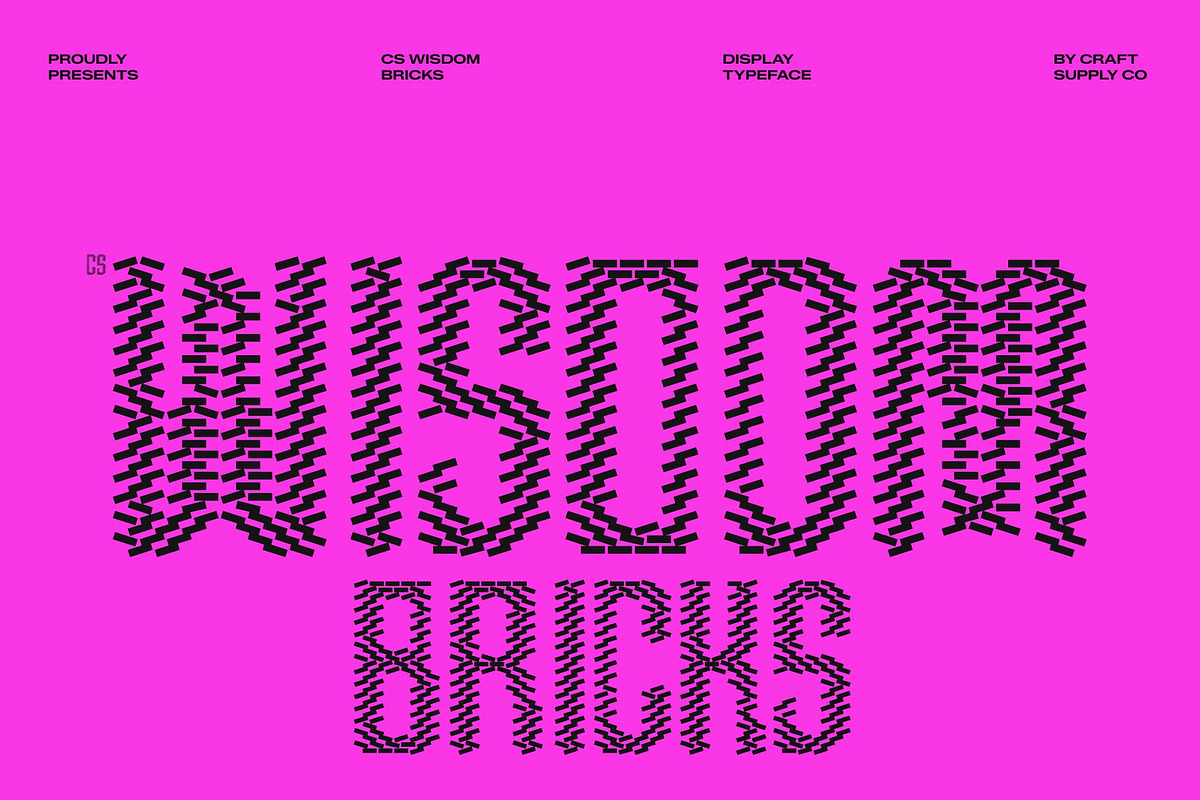 CS Wisdom Bricks, a Sans Serif Font by Craft Supply Co. (Photo 1 of 8)