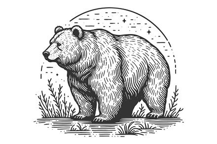 Bear in Nature Scene engraving, an Animal Illustration by AlexArt