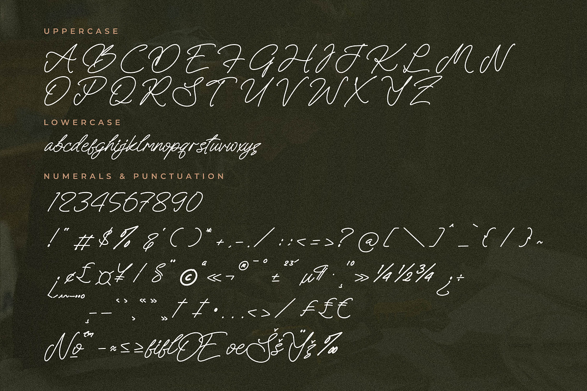 Melankoly Asteria Monoline Font, a Script Font by Letterena Studios Script (Photo 13 of 15)