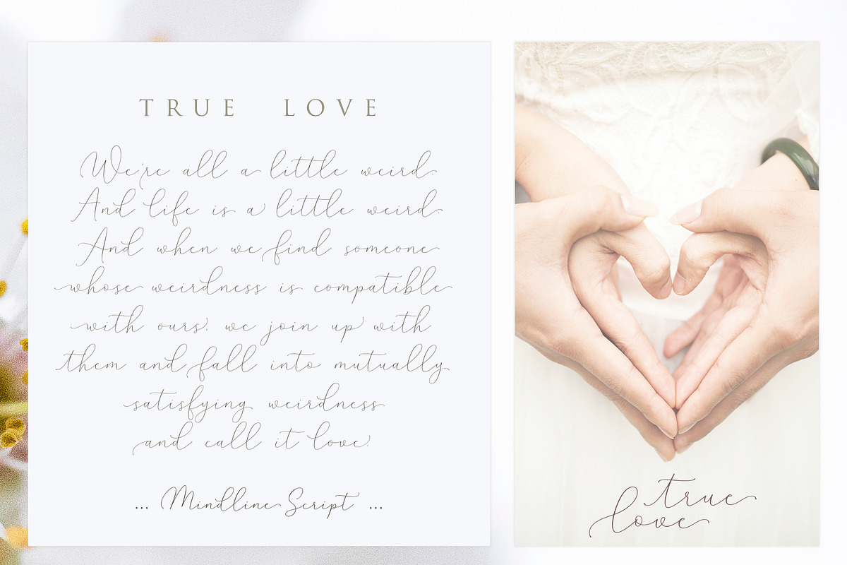 Mindline Script, a Script Font by Barland Design (Photo 5 of 12)