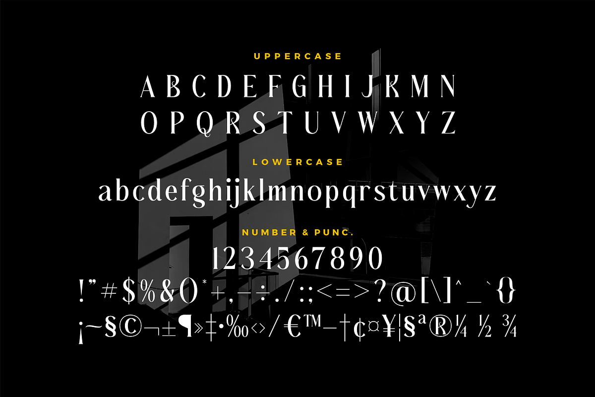 Badelosh Ralintesla Modern Font Duo, a Serif Font by Storytype Studio (Photo 11 of 15)
