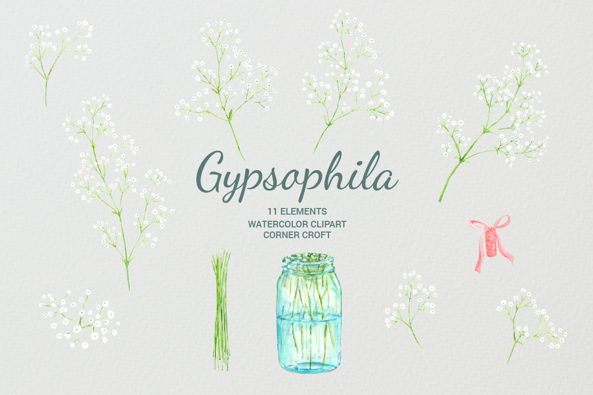 Watercolor Gypsophila Baby's Breath, an Illustration by Corner Croft (Photo 4 of 7)