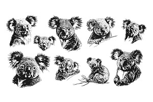 Koala sketch. Black hand drawn koala, an Animal Illustration by Valerie Bodnar