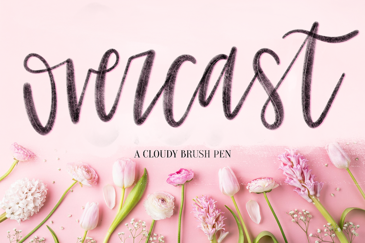 Procreate Lettering Brushes Bundle, a Brush Add-On by Nap Time Design Co. (Photo 11 of 11)