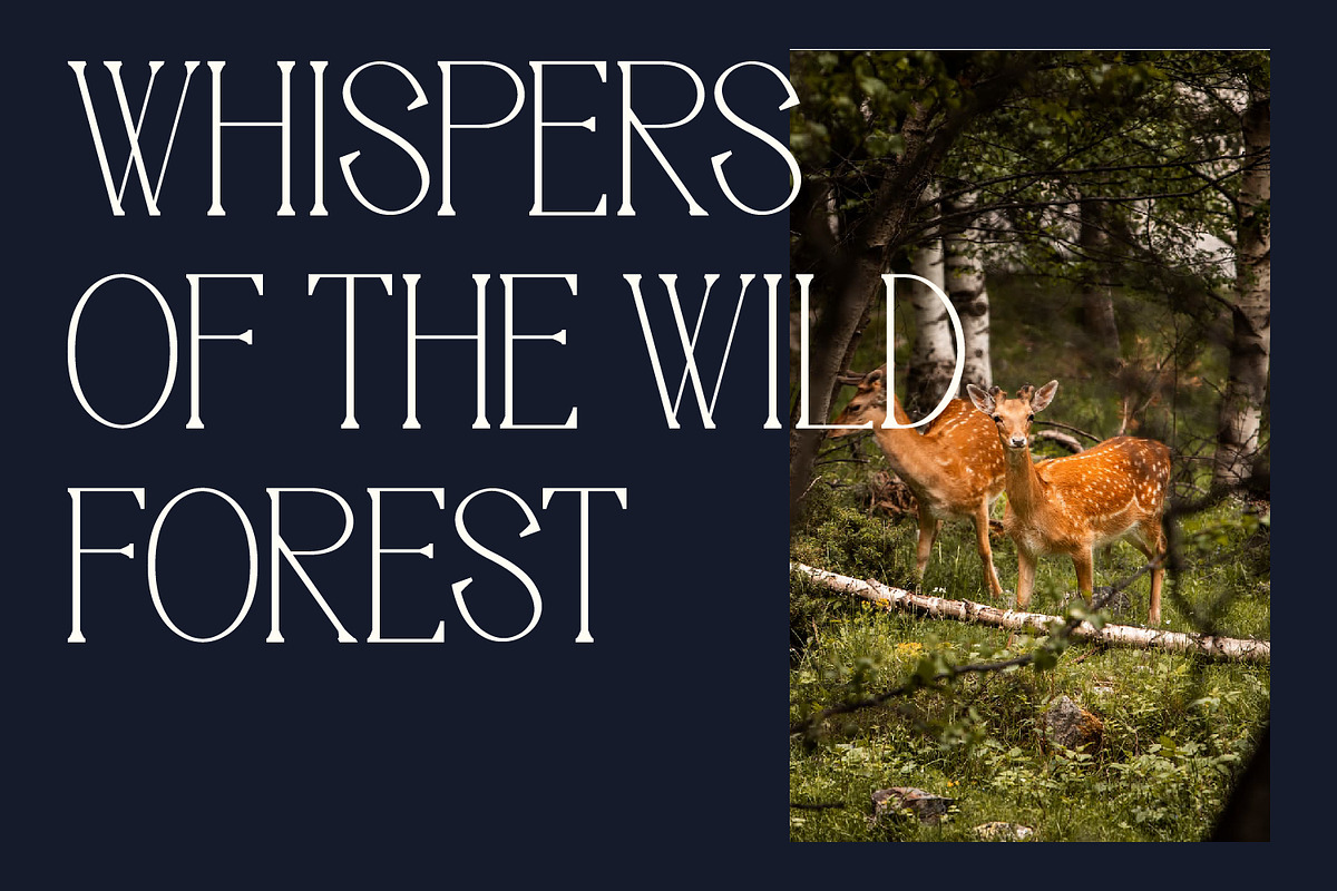 Moonlife - Serif Typeface Font, a Serif Font by Rishsketch (Photo 2 of 15)