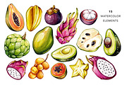 Tropical Fruits, Watercolor, an Illustration by Olga Olmix (Thumbnail 2 of 4)