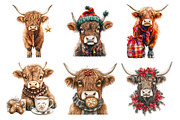 Christmas Highland Cow Clipart, an Illustration by Daily.Designs (Thumbnail 4 of 5)
