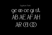 Cheqah - Modern Brand Font, a Serif Font by Iqsiart Studio (Thumbnail 11 of 13)