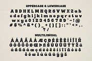 Early Quake -  Y2K Retro Font, a Serif Font by Dharmas Foundry (Thumbnail 13 of 15)
