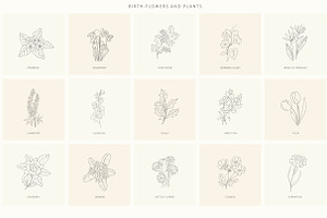 Birth-Flowers. Trendy Plants, Logos