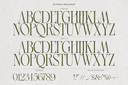 Luxury Wedding Font Bundle, a Serif Font by AndrewPixelType (Thumbnail 28 of 44)