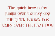 Yosshi - Stencil Serif Font, a Serif Font by AnnofaType (Thumbnail 9 of 10)