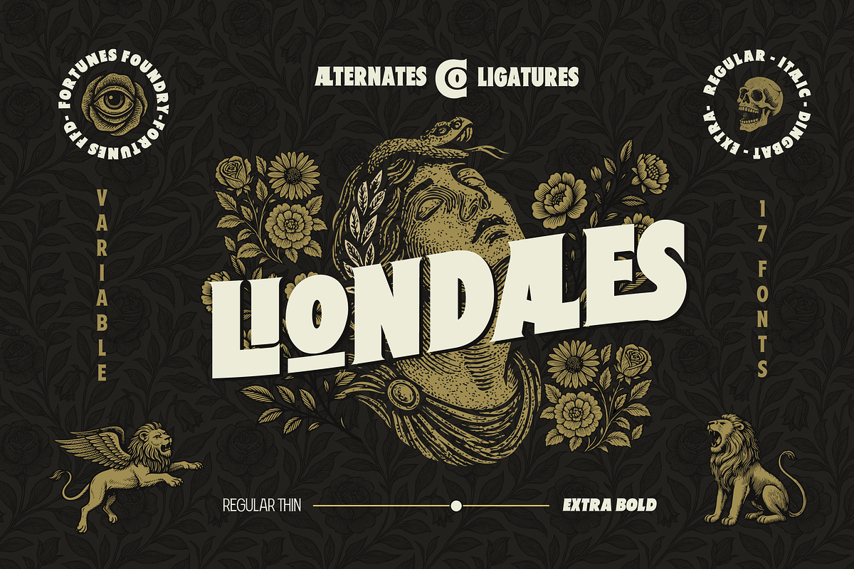 Fd Liondales + Extra, a Sans Serif Font by Fortunes Co (Photo 1 of 11)