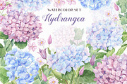SALE! Watercolor Hydrangea, an Illustration by Irina Diasli (Thumbnail 1 of 9)