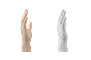 Endomorph Male Hand Base Mesh 02