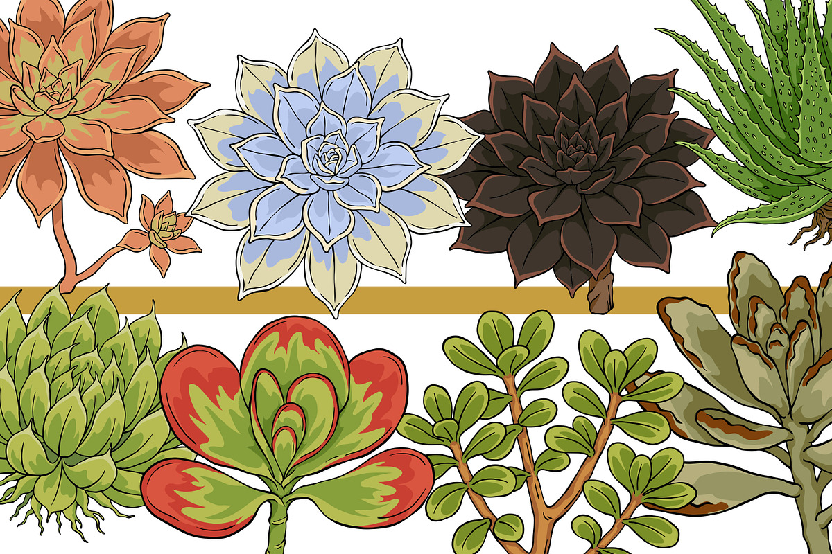 Succulent Illustration Pack, an Illustration by Tekuni (Photo 2 of 13)