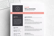 Resume/CV Bundle | 200+ for $29, a Resume Template by ResumeInventor (Thumbnail 31 of 207)