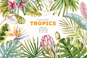 Watercolor Tropical Leaves & Flowers, an Illustration by babenkoirusa (Thumbnail 1 of 17)