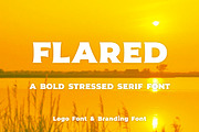 Flared - a logo font or brand font, a Font by Little Type Factory (Thumbnail 8 of 8)