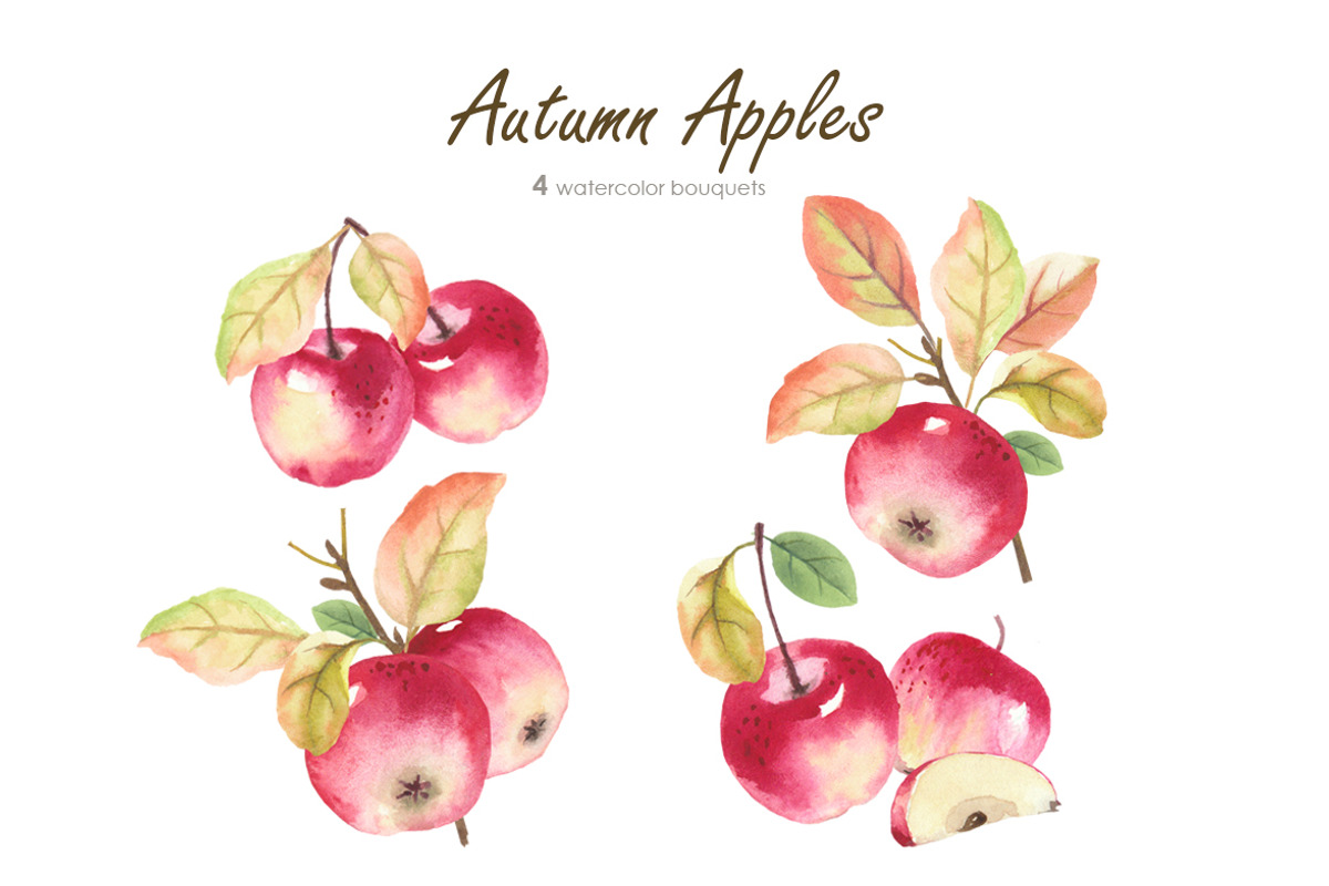 Autumn Apples, a Decorative Illustration by oKOLOstyle (Photo 5 of 6)