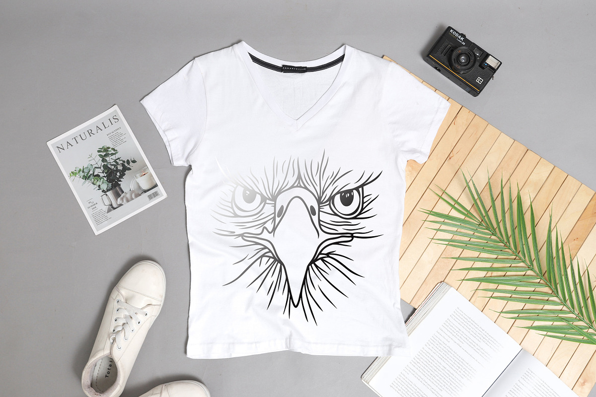 Eagle svg png dxf, bird clipart, an Animal Illustration by Bila Vorona (Photo 4 of 7)