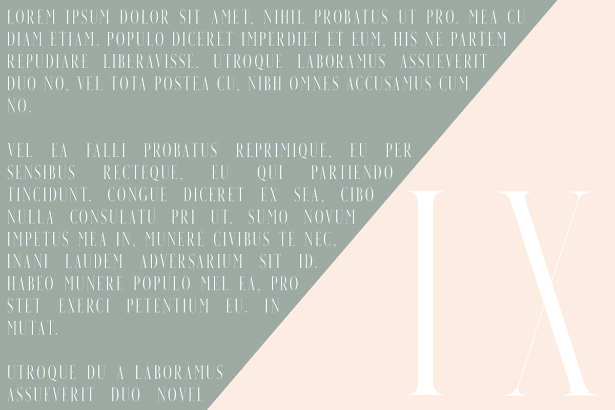Venice | A Beautiful Serif preview 6