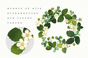 Blossom Wild Strawberry & Clover., an Illustration by Olga Bonitas (Thumbnail 7 of 9)