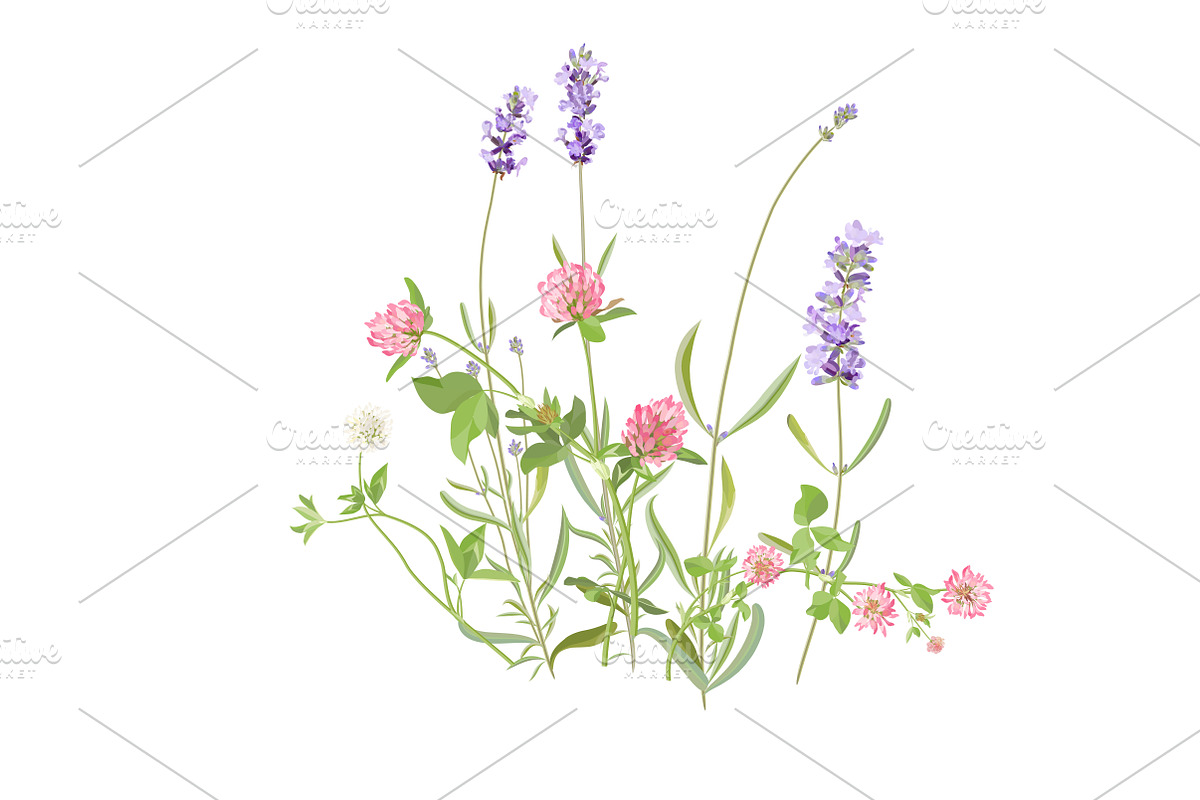 Vector object brushes. Lavender, a Brush Add-On by Peolla (Photo 12 of 13)
