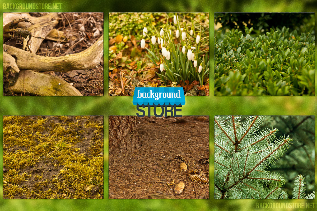 Nature Images Bundle preview 2