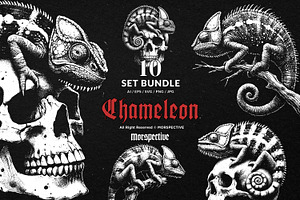 10 Bundle Dark Art Chameleon Lizard, an Illustration by Morspective
