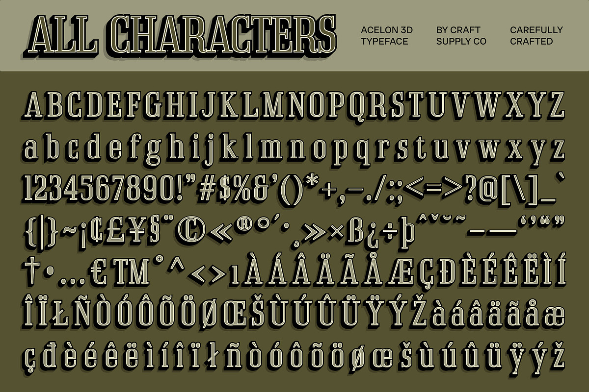 Acelon 3D, a Serif Font by Craft Supply Co. (Photo 7 of 7)