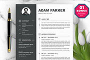 Resume/CV Bundle | 200+ for $29, a Resume Template by ResumeInventor (Thumbnail 147 of 207)