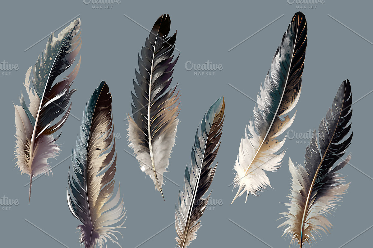 Feathers, an Illustration by As Studio (Photo 2 of 3)