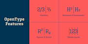 Geogrotesque Slab, a Slab Serif Font by Emtype Foundry (Thumbnail 11 of 11)