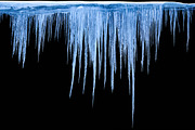 Icicles isolated from background, a Nature Photo by Countryside life (Thumbnail 13 of 22)