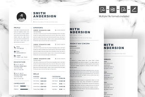 Professional Clean One Page Resume