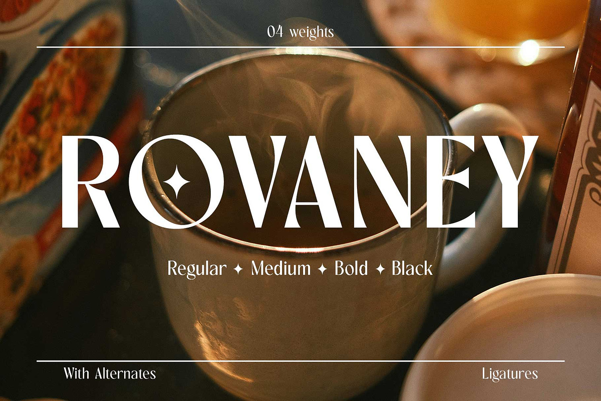 Rovaney - Fancy Font Family, a Serif Font by Arterfak Project (Photo 1 of 15)