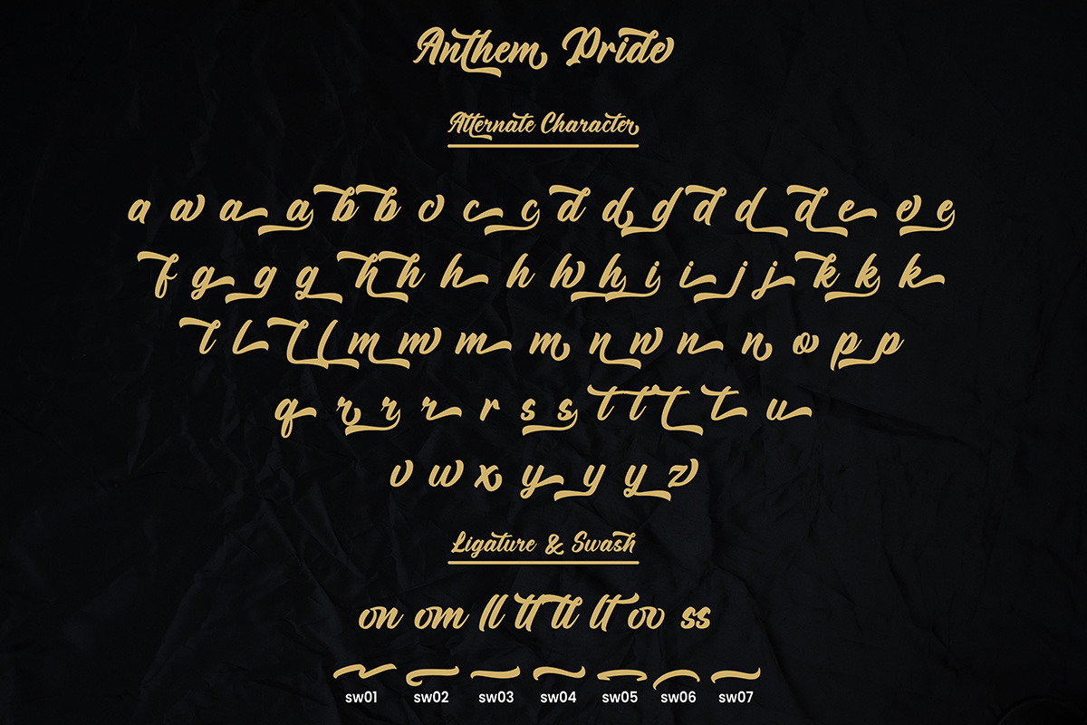 Anthem Pride Modern Script Font, a Script Font by Ronny Studio (Photo 14 of 15)