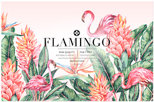 Flamingo, Patterns Set!