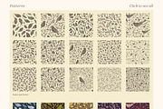 Songbirds and Floral patterns, a Pattern Graphic by Piñata (Thumbnail 2 of 8)