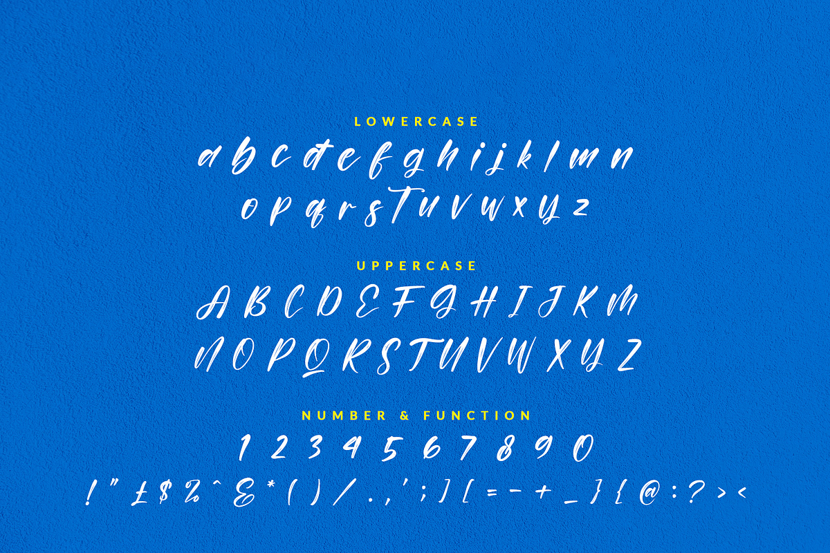 Persistent, a Script Font by Wildan Type (Photo 8 of 10)